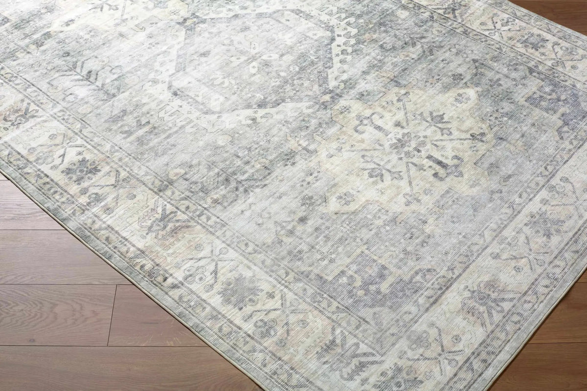 Laran Sage Distressed Washable Area Rug - Clearance, photo 7 of 8