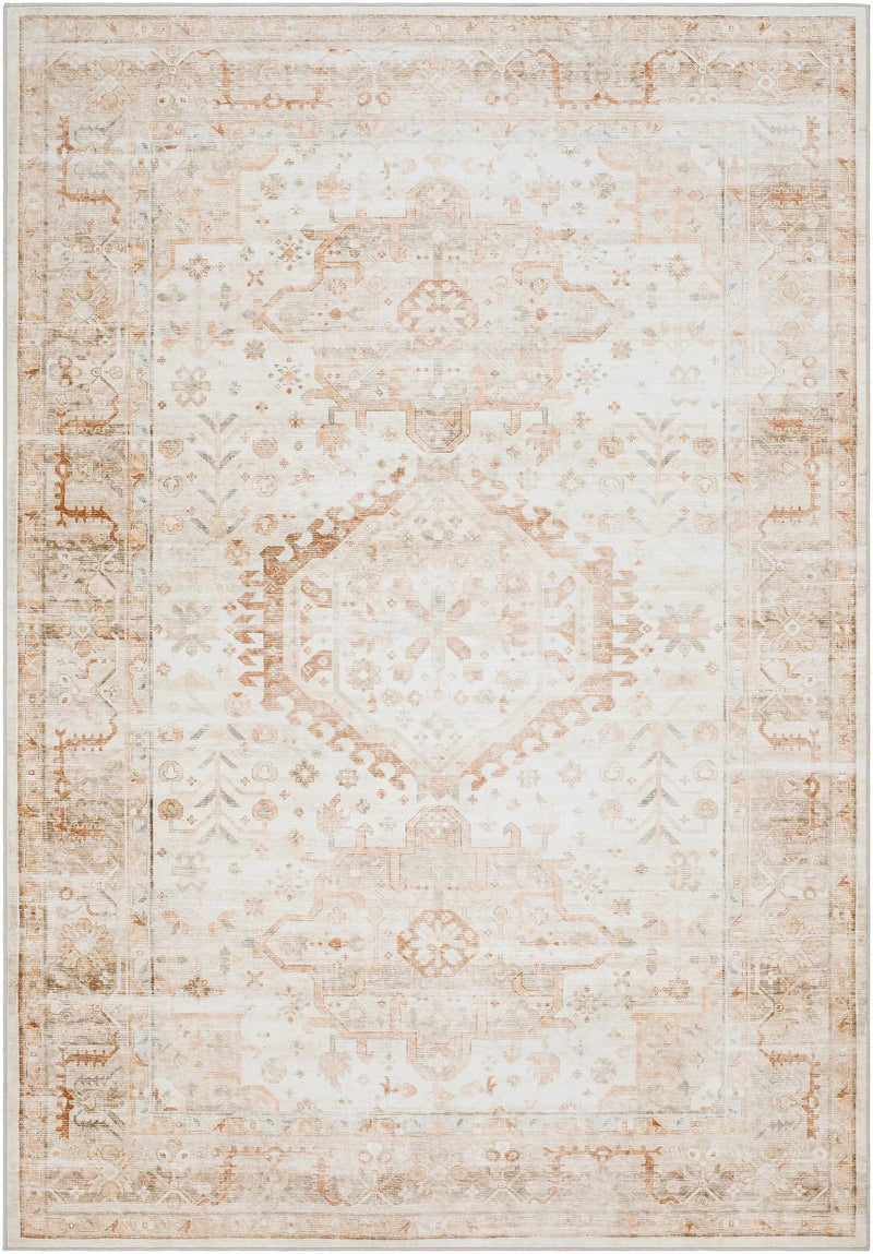 Laran Rust Distressed Washable Area Rug - Clearance by Boutique Rugs