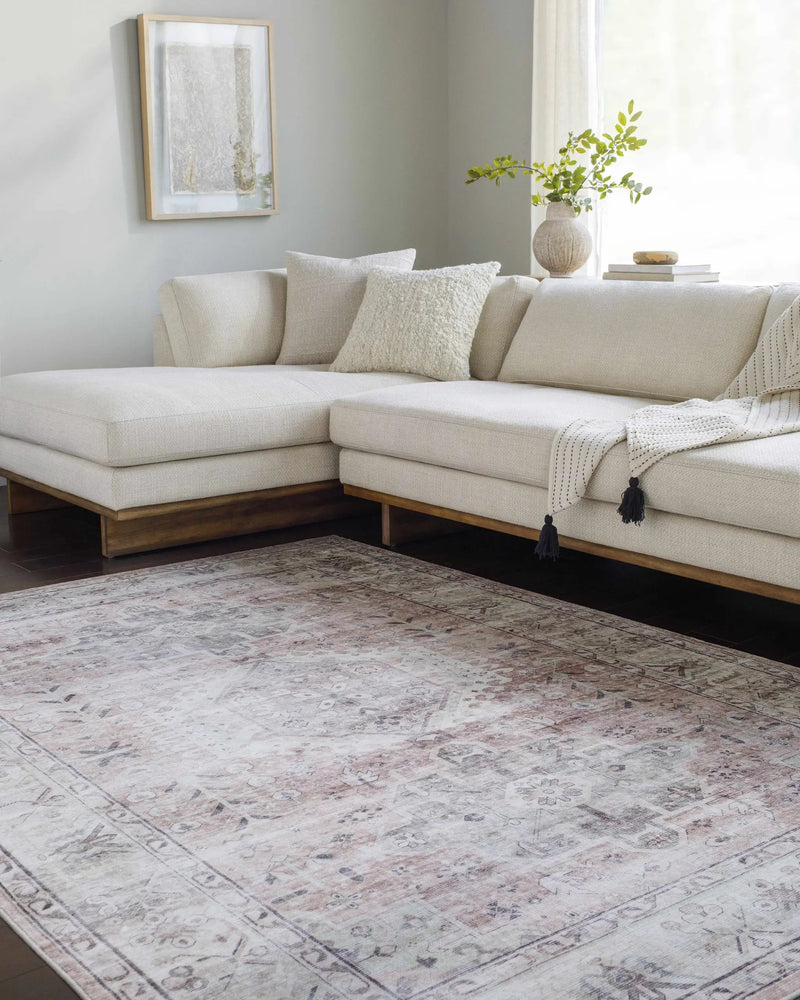 Laran Taupe Distressed Washable Area Rug - Clearance by Boutique Rugs
