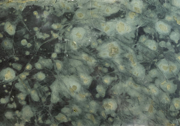 Magic Green Polished Marble Slab Random