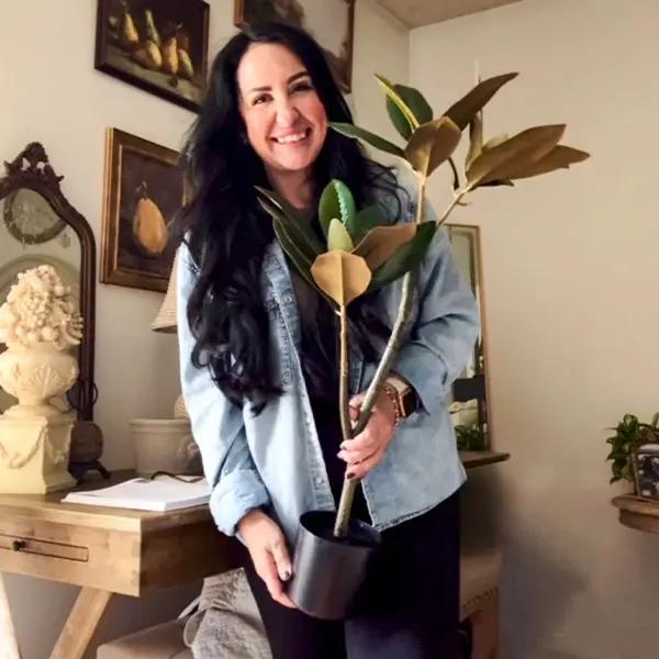 31 Inch Potted Faux Magnolia Tree by Decor Steals