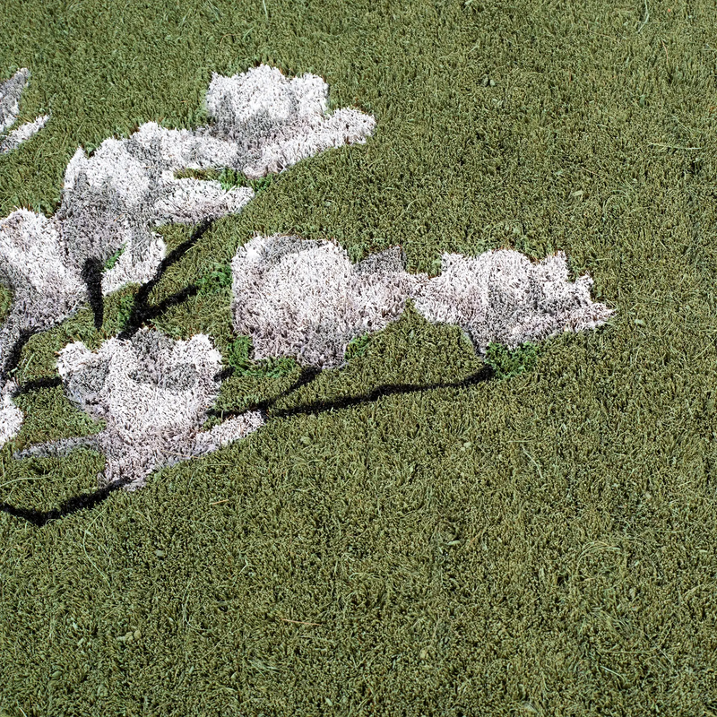 Magnolia Branch - Green Coir Doormat by Fab Habitat