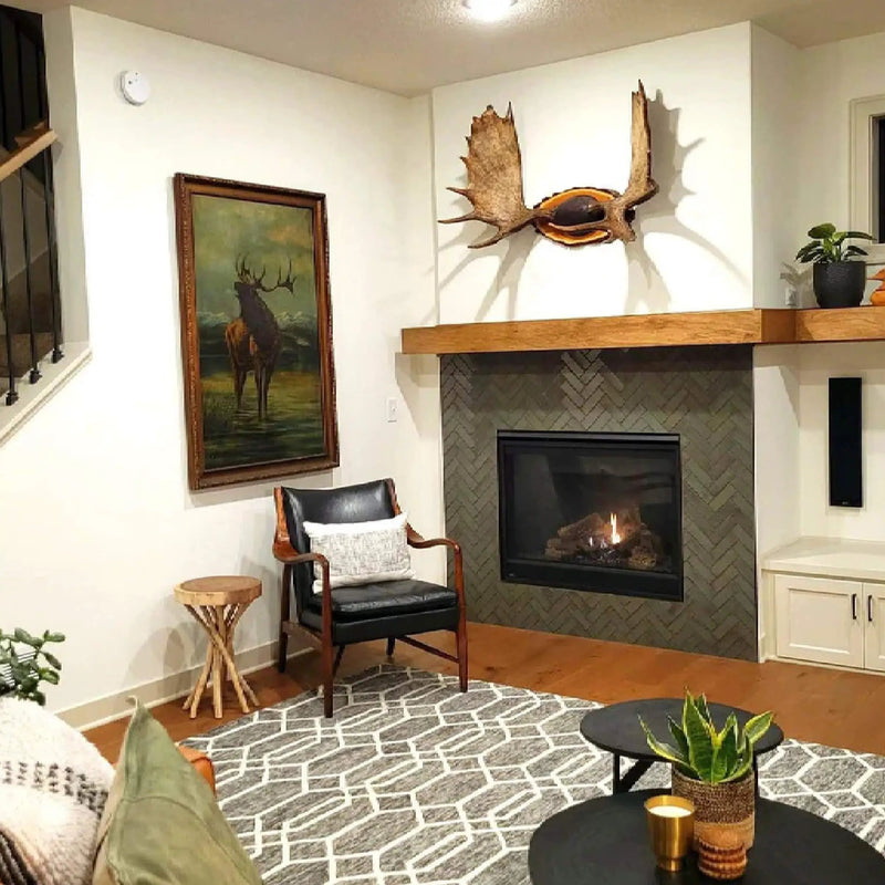 Majestic Mercury 32-Inch Direct Vent Natural Gas Fireplace [MERC32IN] (SAK15031) by SAKSBY WHOLESALE