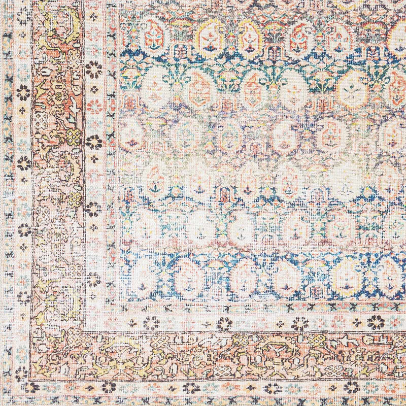 Maligaya Distressed Washable Rug - Clearance by Boutique Rugs
