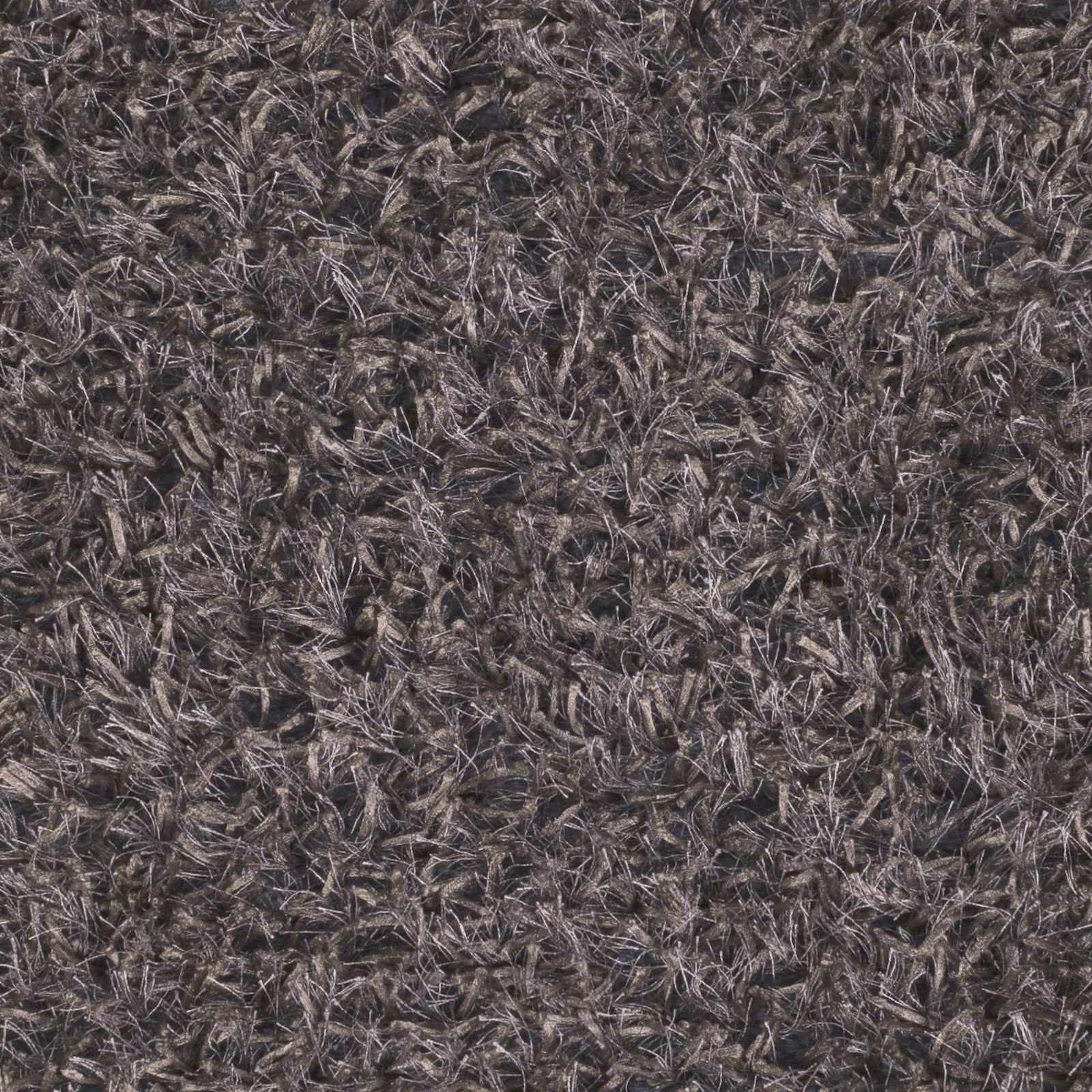 Mariposa Area Carpet - Clearance by Boutique Rugs