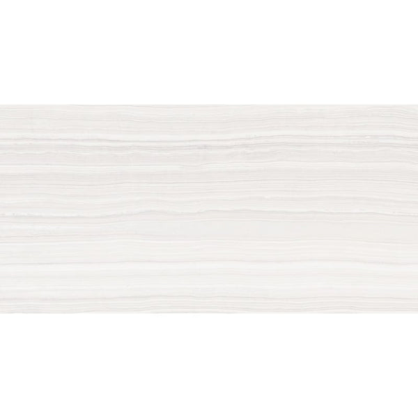 Matrix Bright Matte Porcelain Tiles 18x36