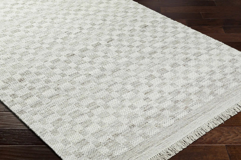 Meira Medium Gray Area Rug - Clearance by Boutique Rugs