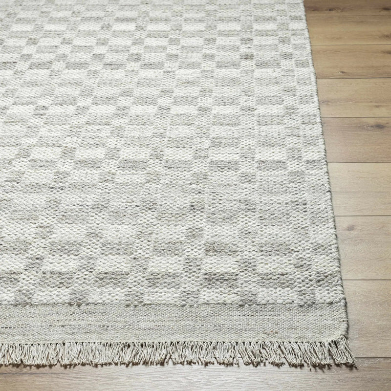 Meira Medium Gray Area Rug - Clearance by Boutique Rugs