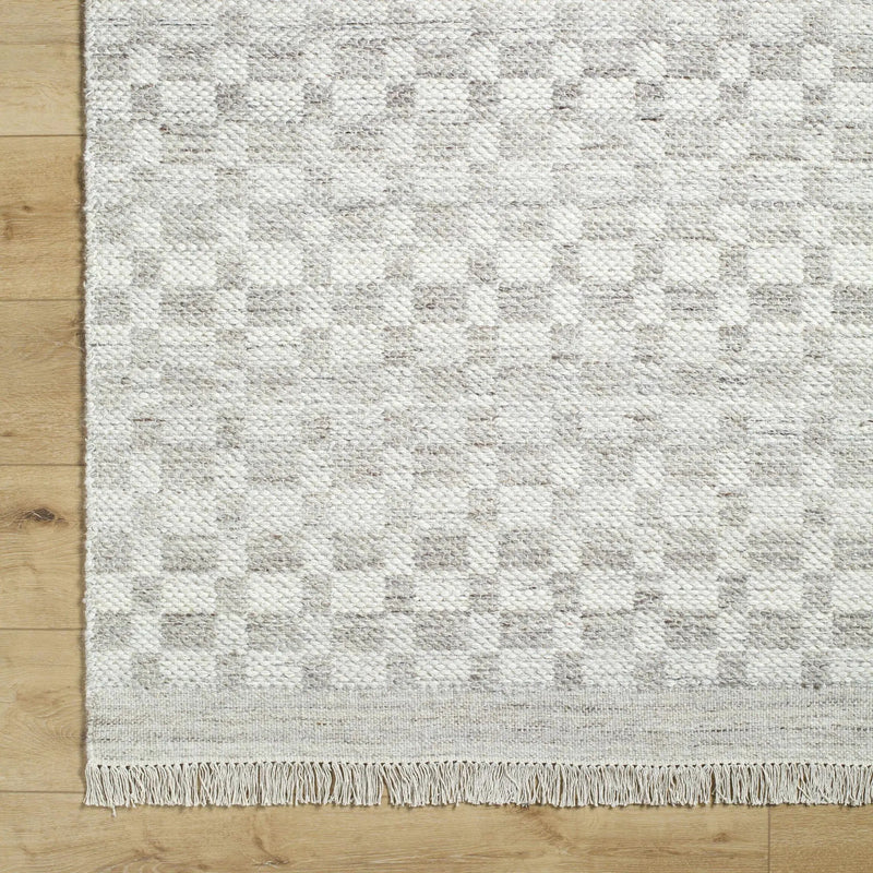 Meira Medium Gray Area Rug - Clearance by Boutique Rugs
