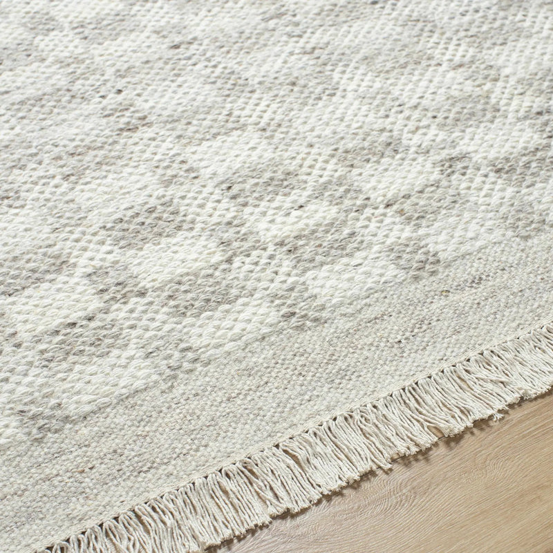 Meira Medium Gray Area Rug - Clearance by Boutique Rugs