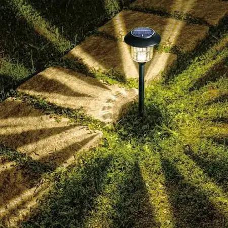 Member's Mark Solar LED Pathway Lights, Stainless Steel 12 Lumens (6 Pack) by Outdoor Solar Outlet