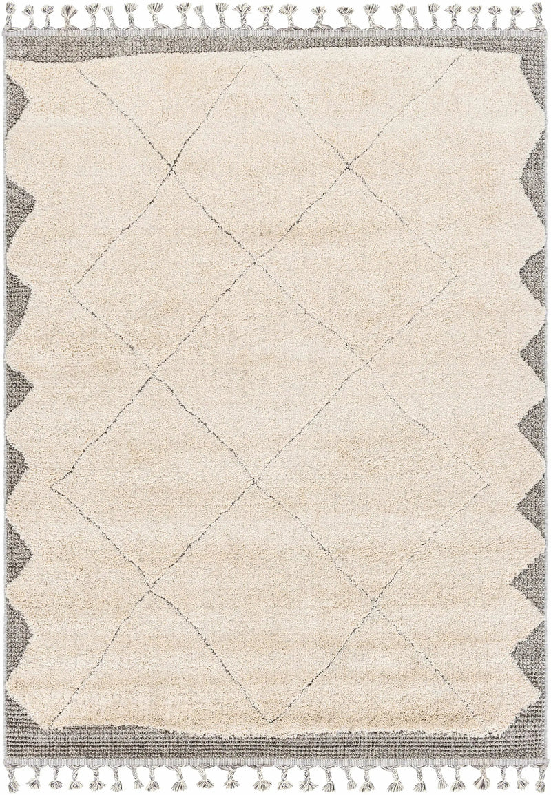 Metzger Area Rug - Clearance by Boutique Rugs