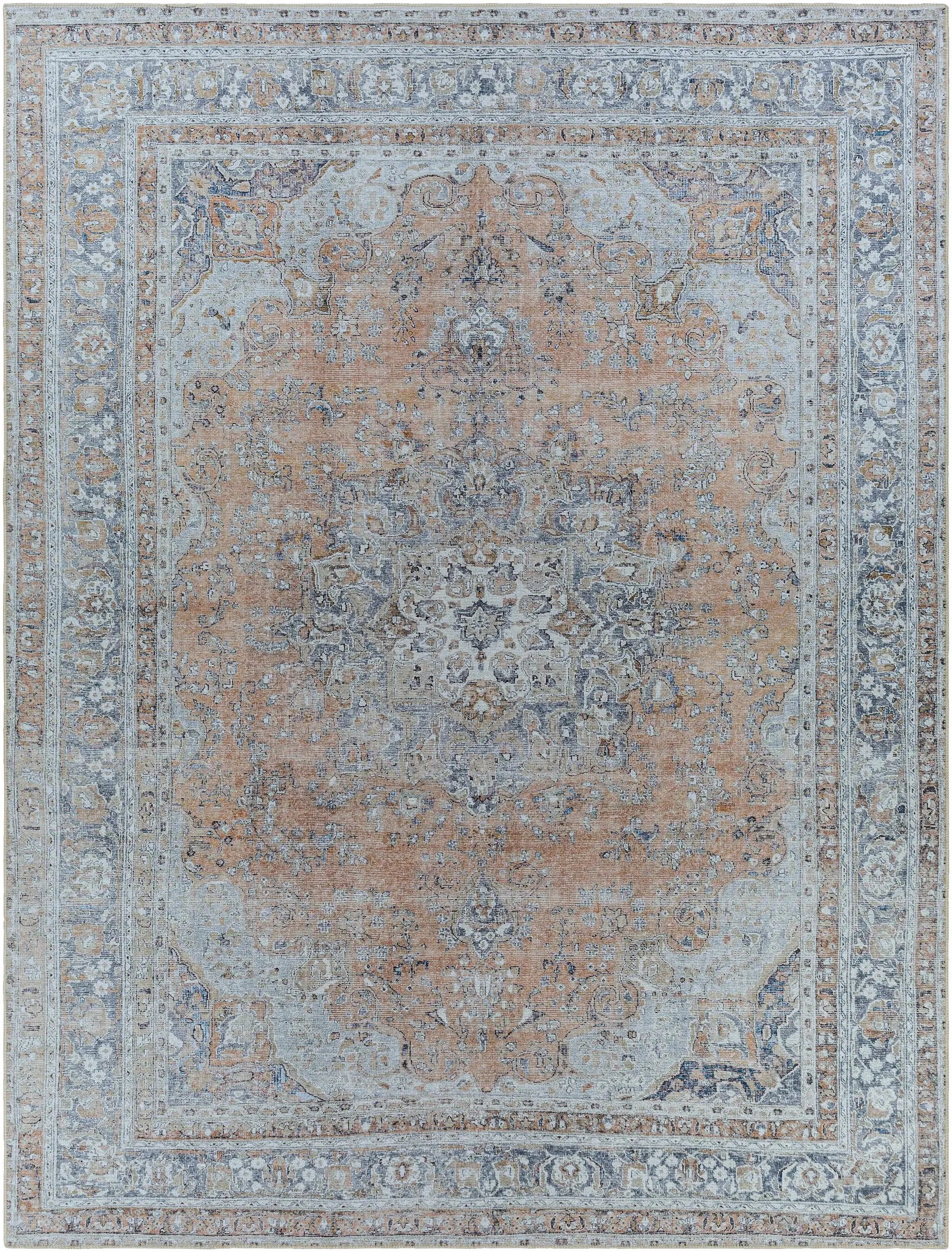 Mianay Washable Area Rug - Clearance by Boutique Rugs