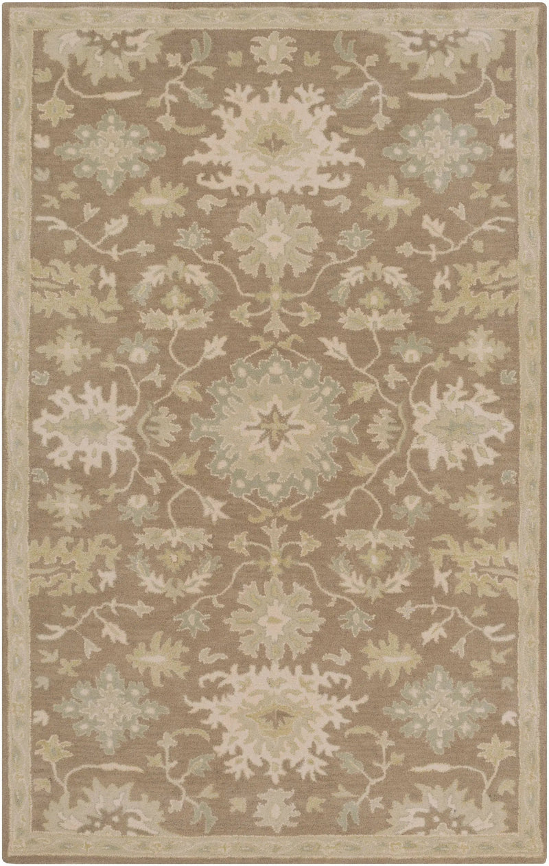 Hazen Hand Tufted Beige 1149 Area Rug by Boutique Rugs