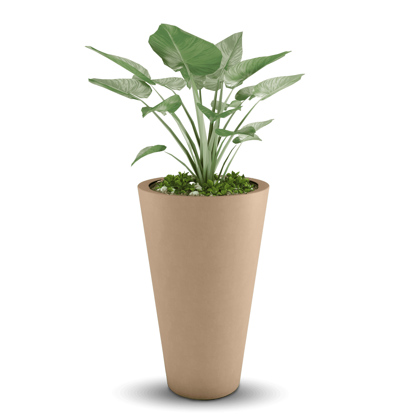 Cone Outdoor Planter by ModaConcrete - Direct source for architectural and precast concrete