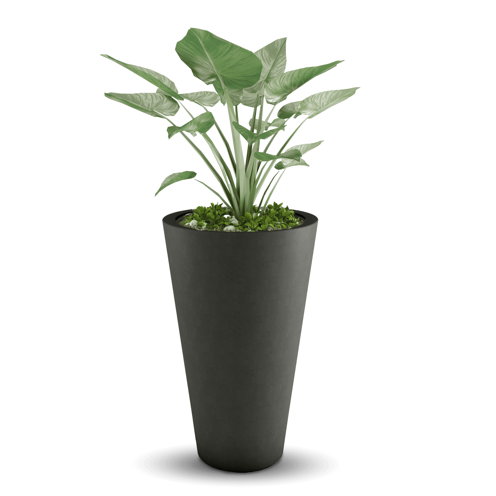 Cone Outdoor Planter by ModaConcrete - Direct source for architectural and precast concrete