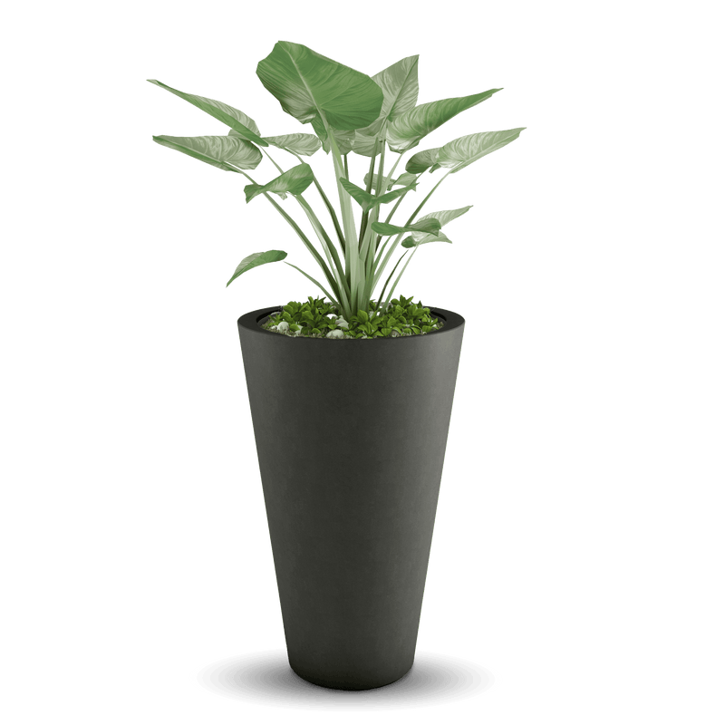 Cone Outdoor Planter by ModaConcrete - Direct source for architectural and precast concrete