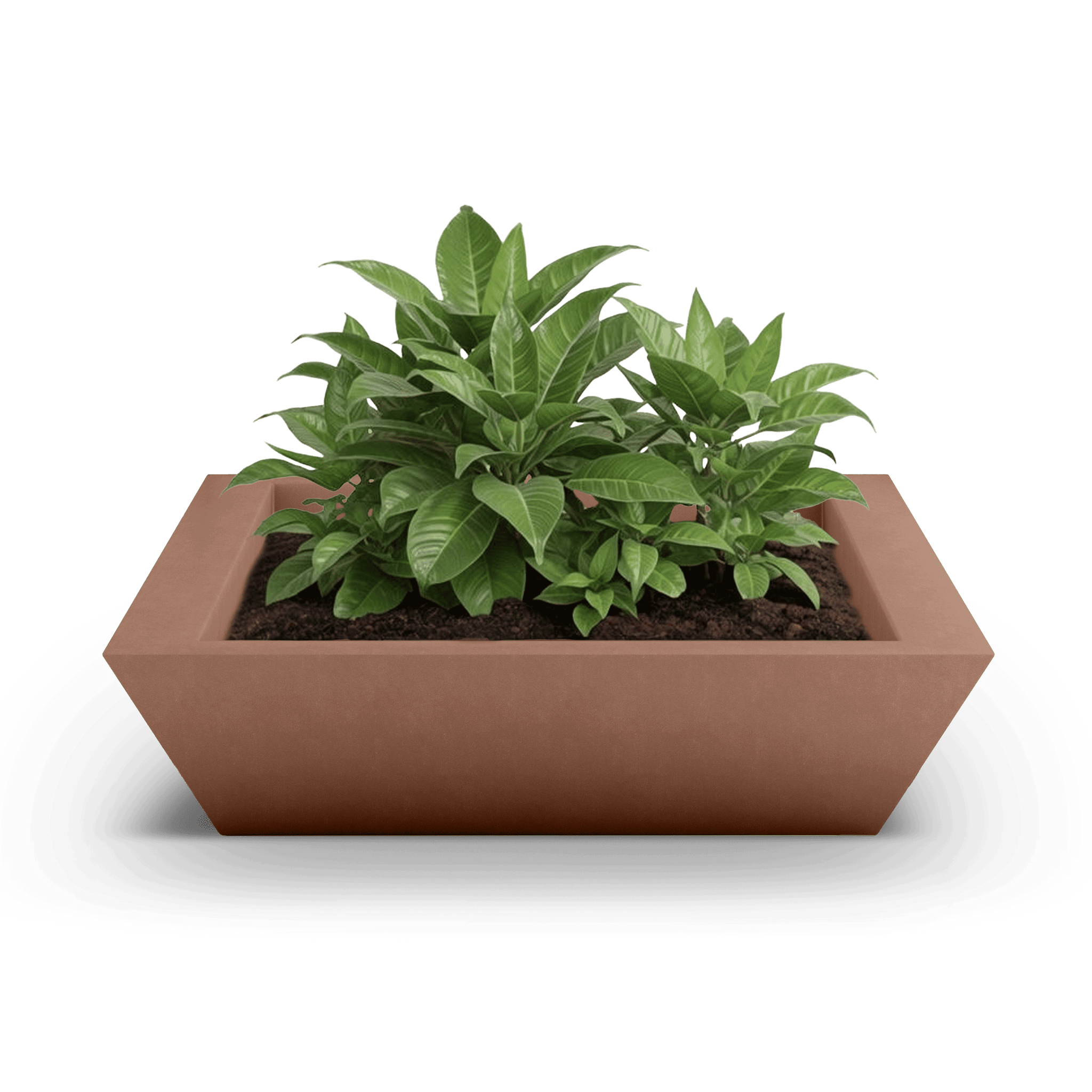 Newport Outdoor Shallow Planter by ModaConcrete - Direct source for architectural and precast concrete
