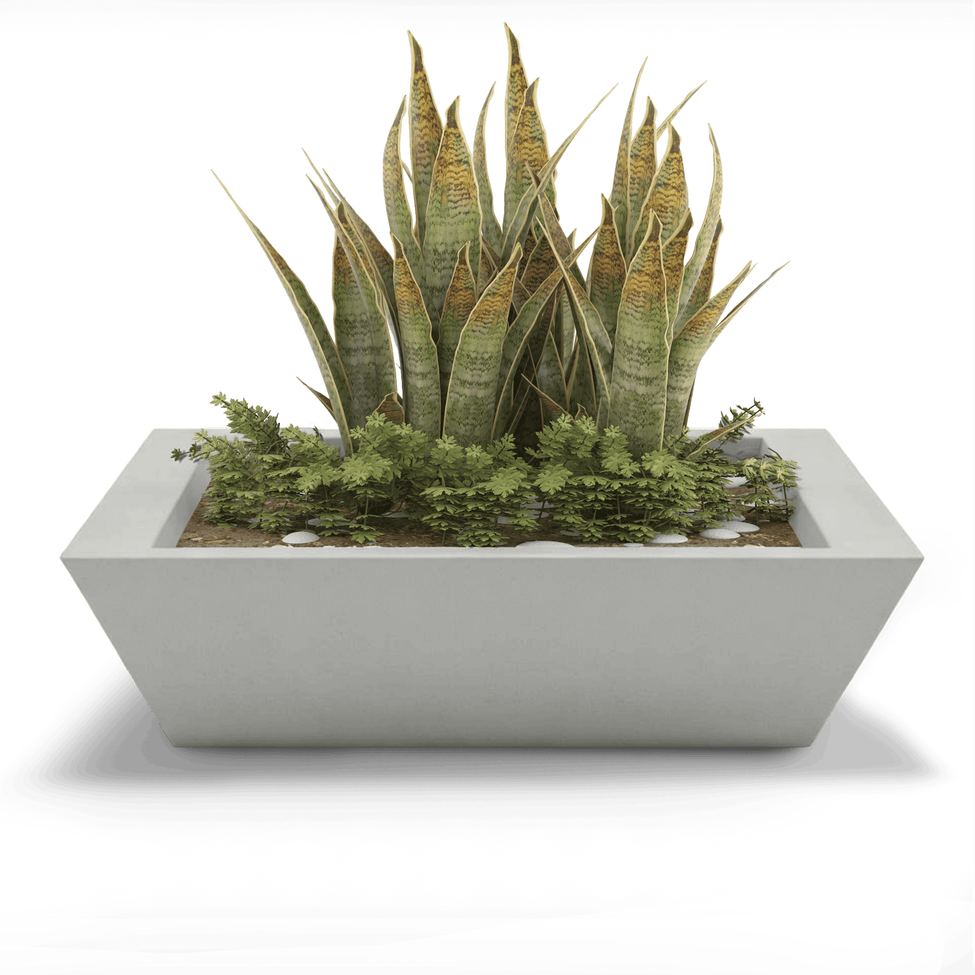 Newport Outdoor Shallow Planter by ModaConcrete - Direct source for architectural and precast concrete