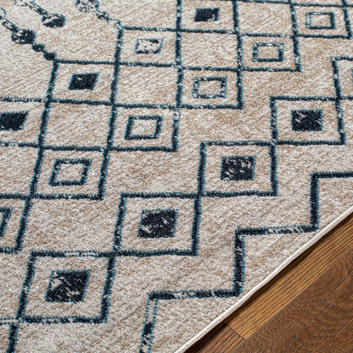 Modderfontein Washable Area Rug - Clearance, photo 12 of 13