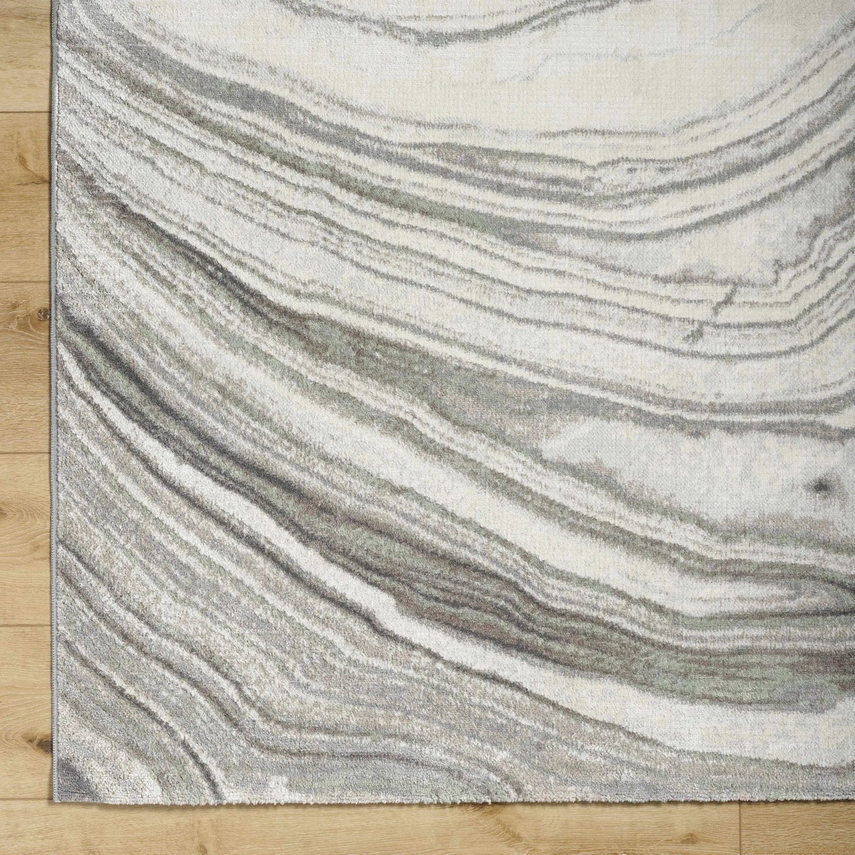 Mojil Area Rug - Clearance, photo 5 of 5