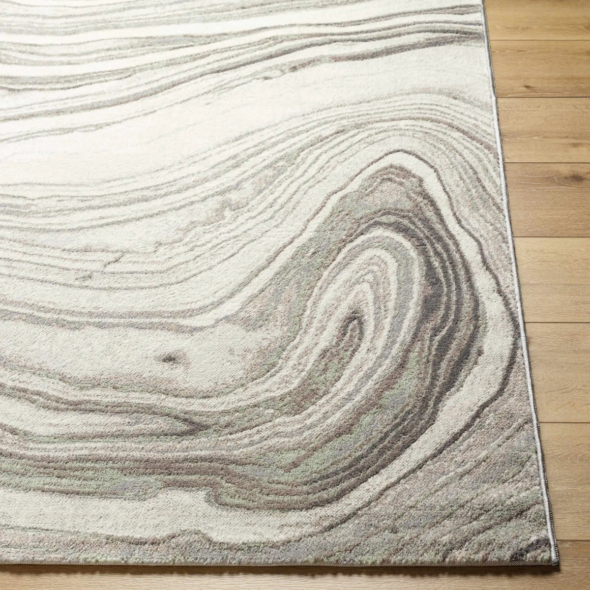 Mojil Area Rug - Clearance, photo 3 of 5