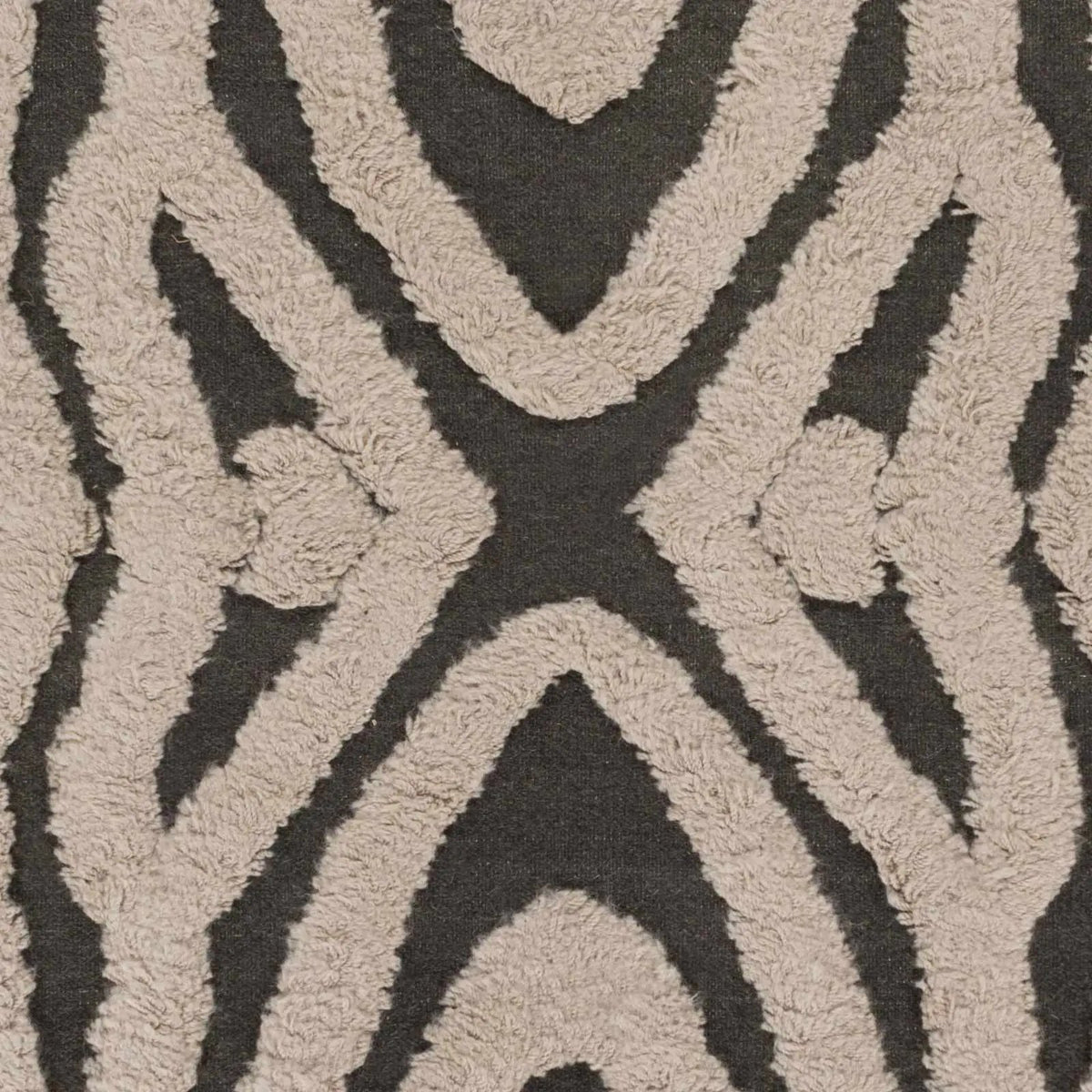 Money Area Carpet - Clearance, sample swatch