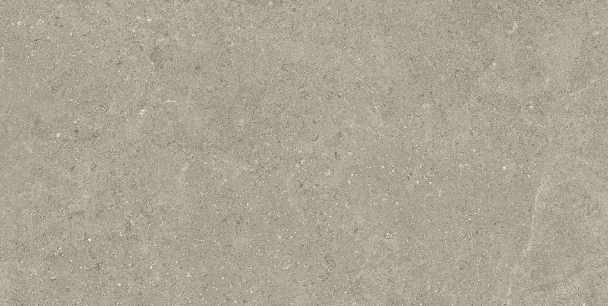 Mood Taupe Limestone Look Porcelain Tiles 24x48 by landmarkceramics