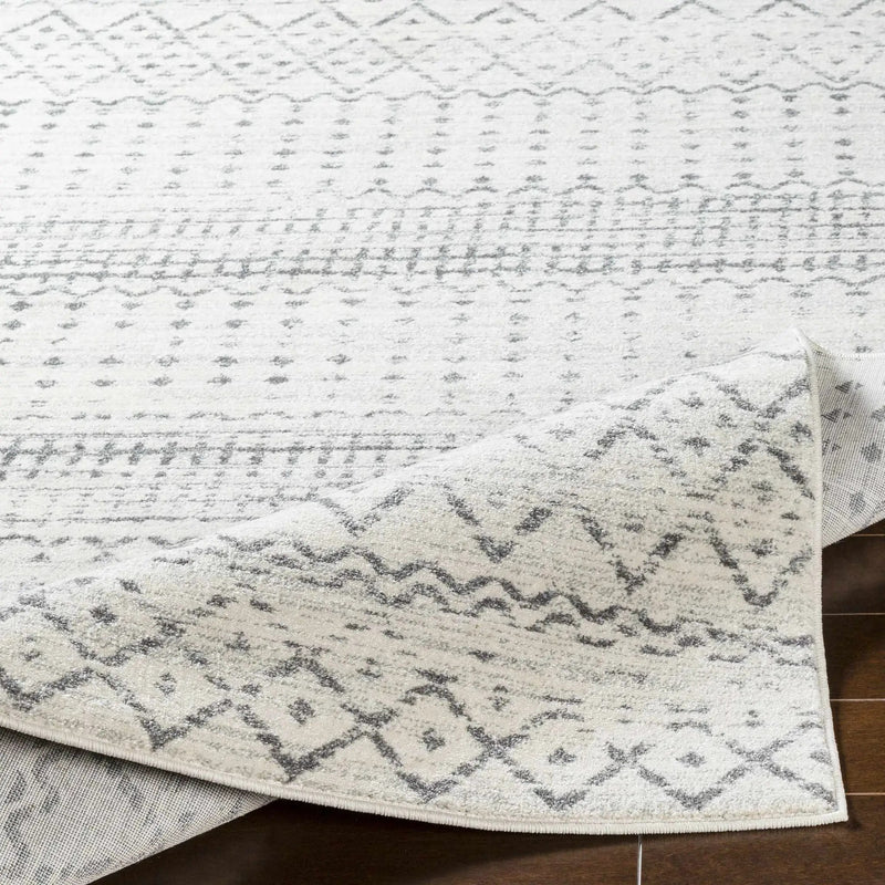 Moweaqua Area Rug - Clearance by Boutique Rugs