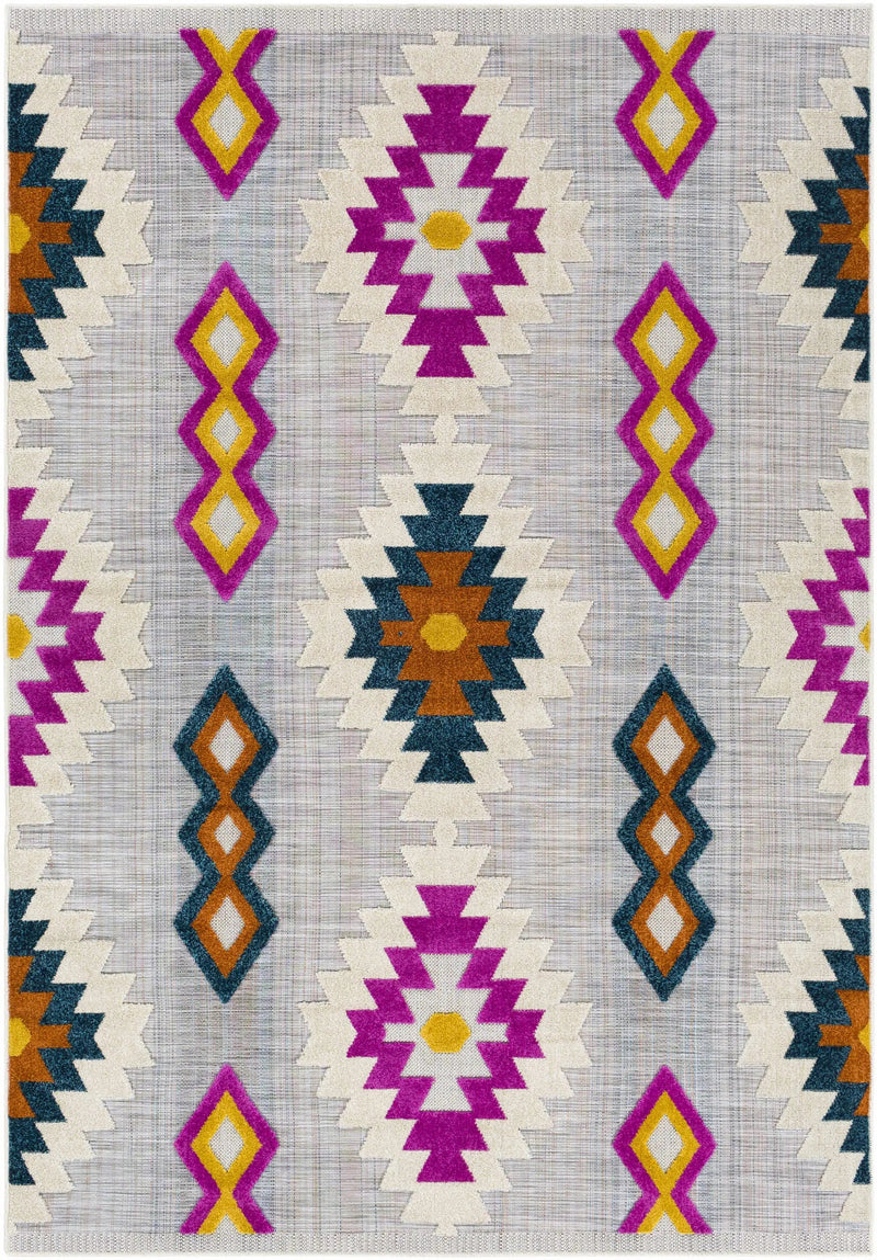 Alburg Southwestern Magenta Outdoor Carpet - Clearance by Boutique Rugs