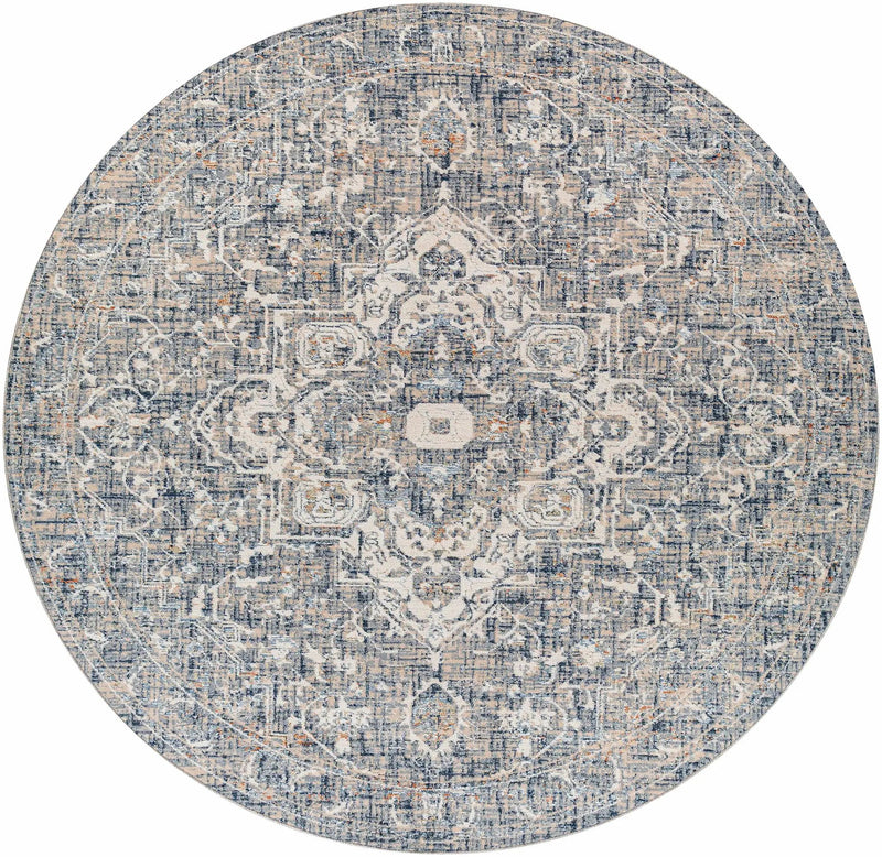Buguey Blue & Gray Area Rug - Clearance by Boutique Rugs