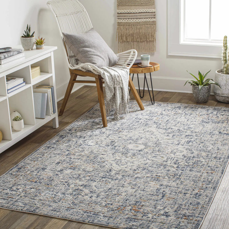 Buguey Blue & Gray Area Rug - Clearance by Boutique Rugs