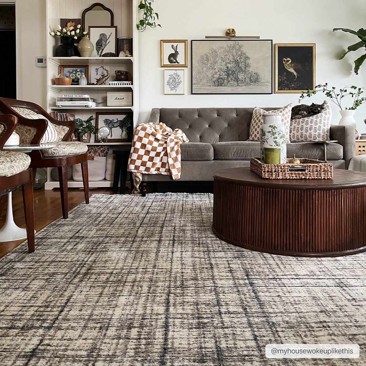 Taysan Area Rug - Clearance, photo 2 of 20