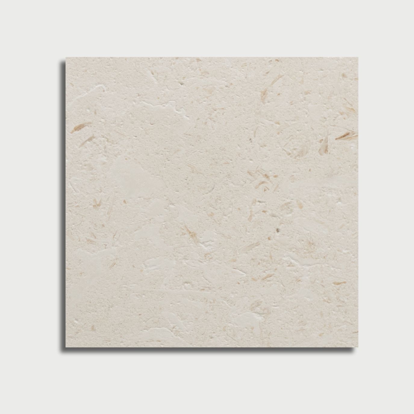 Myra Shellstone Brushed Limestone Pavers 24x24 Limestone Brushed 24x24 Pavers