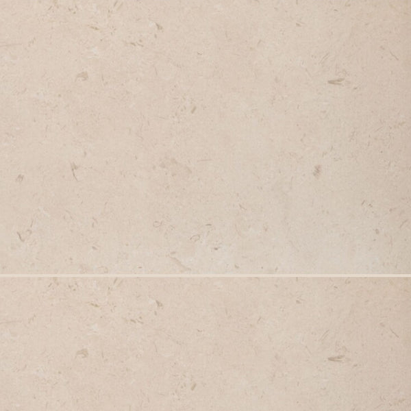 Myra Shellstone Porcelain Pavers 24x36
