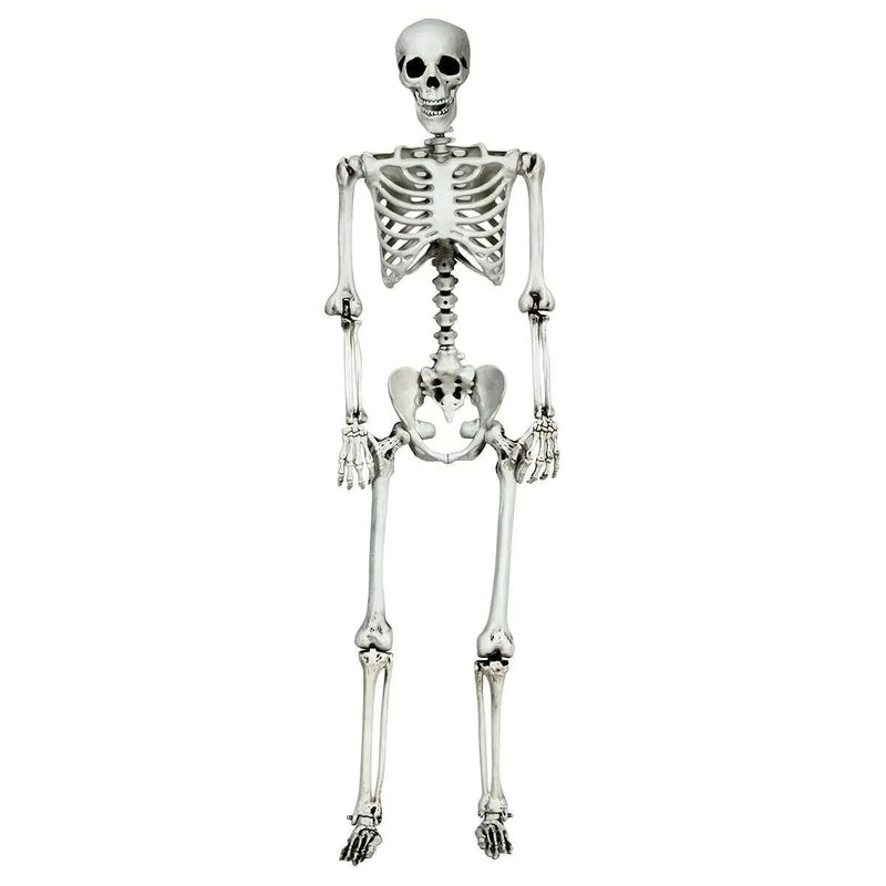 5.4 Feet Halloween Skeleton Life Size Realistic Full Body Hanging by DirectDeals