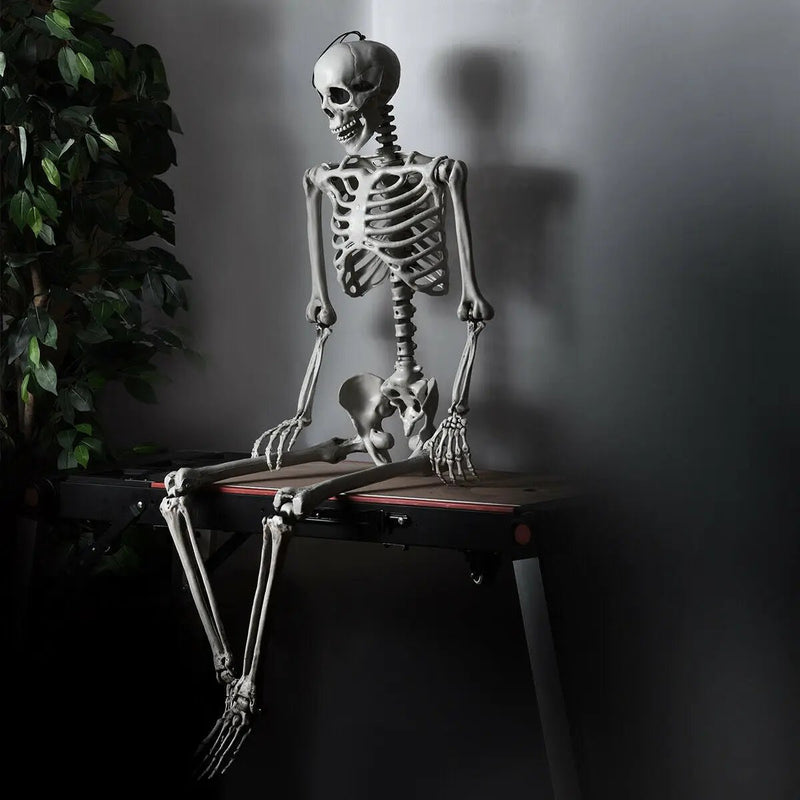 5.4 Feet Halloween Skeleton Life Size Realistic Full Body Hanging by DirectDeals