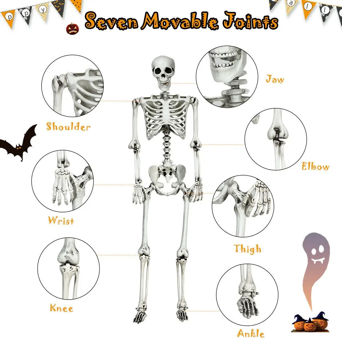 5.4 Feet Halloween Skeleton Life Size Realistic Full Body Hanging by DirectDeals