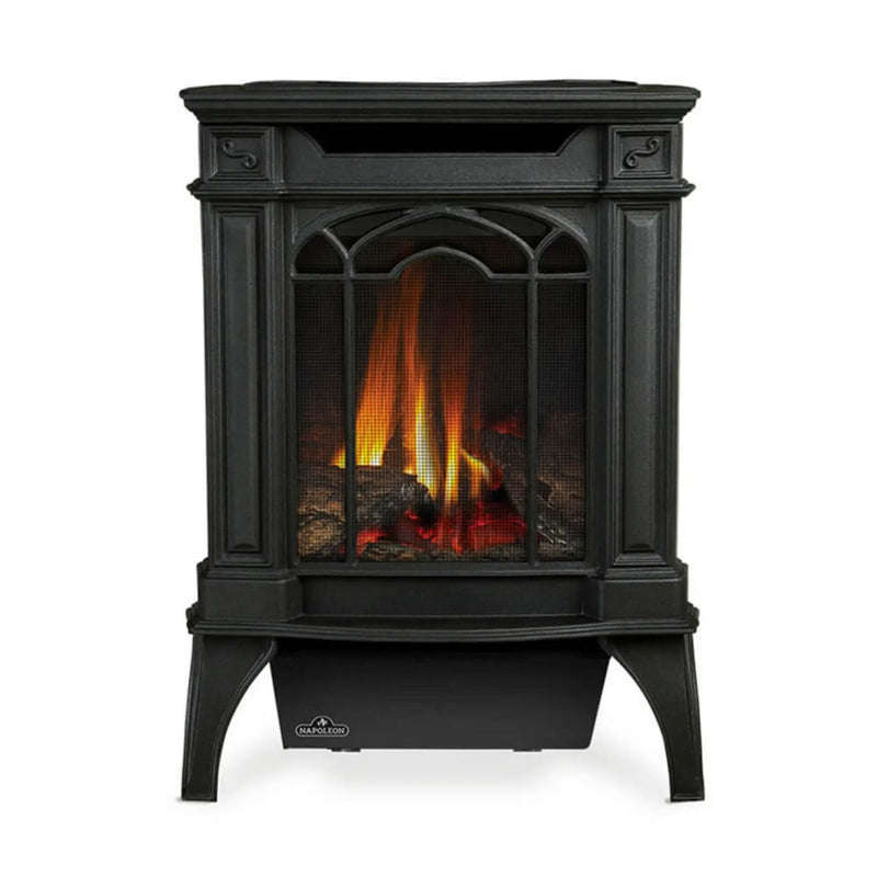 Napoleon Arlington 20 19-Inch Cast Iron Millivolt Ignition Natural Gas Stove [GDS20NSB] (SAK93714) by SAKSBY WHOLESALE