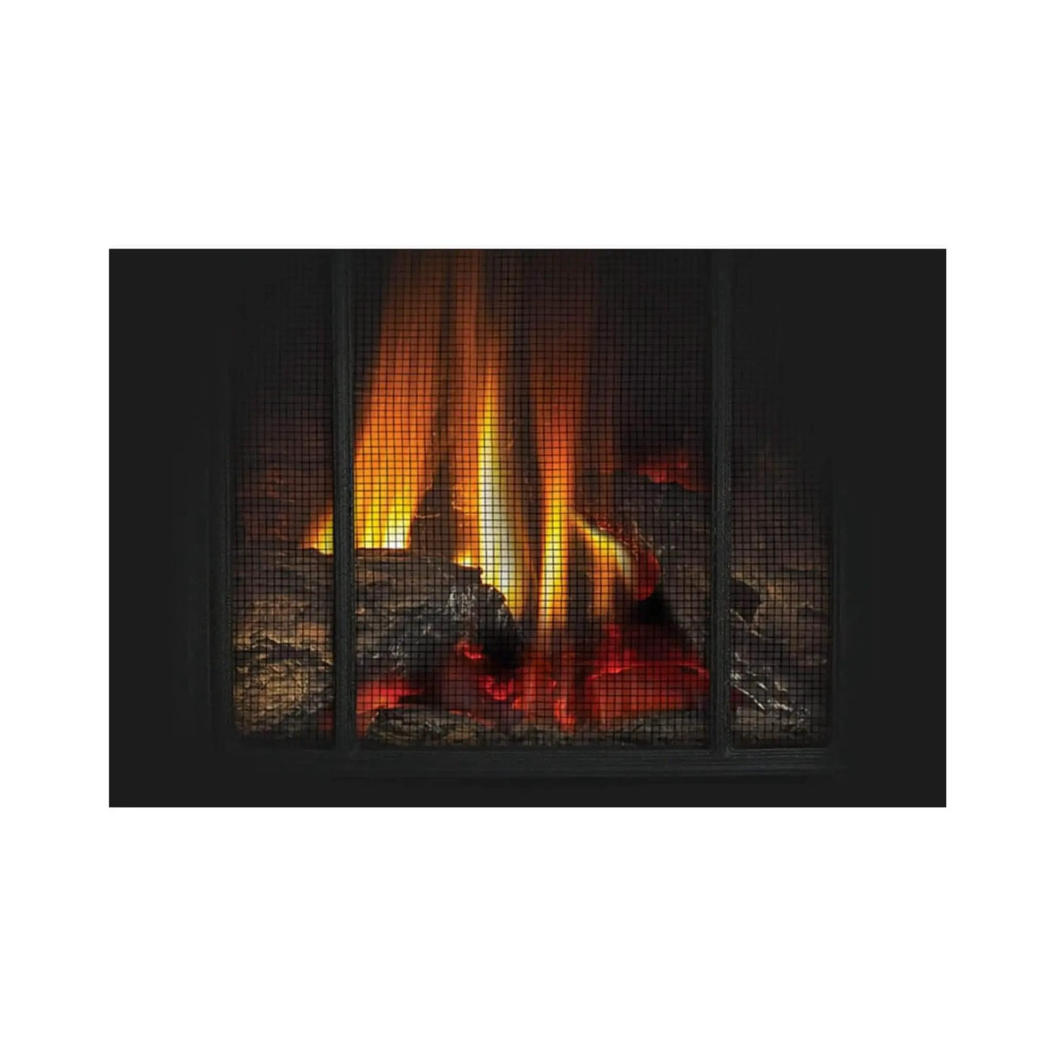 Napoleon Arlington 20 19-Inch Cast Iron Direct Vent Metallic Black Natural Gas Stove [GDS20NE] (SAK18258) by SAKSBY WHOLESALE