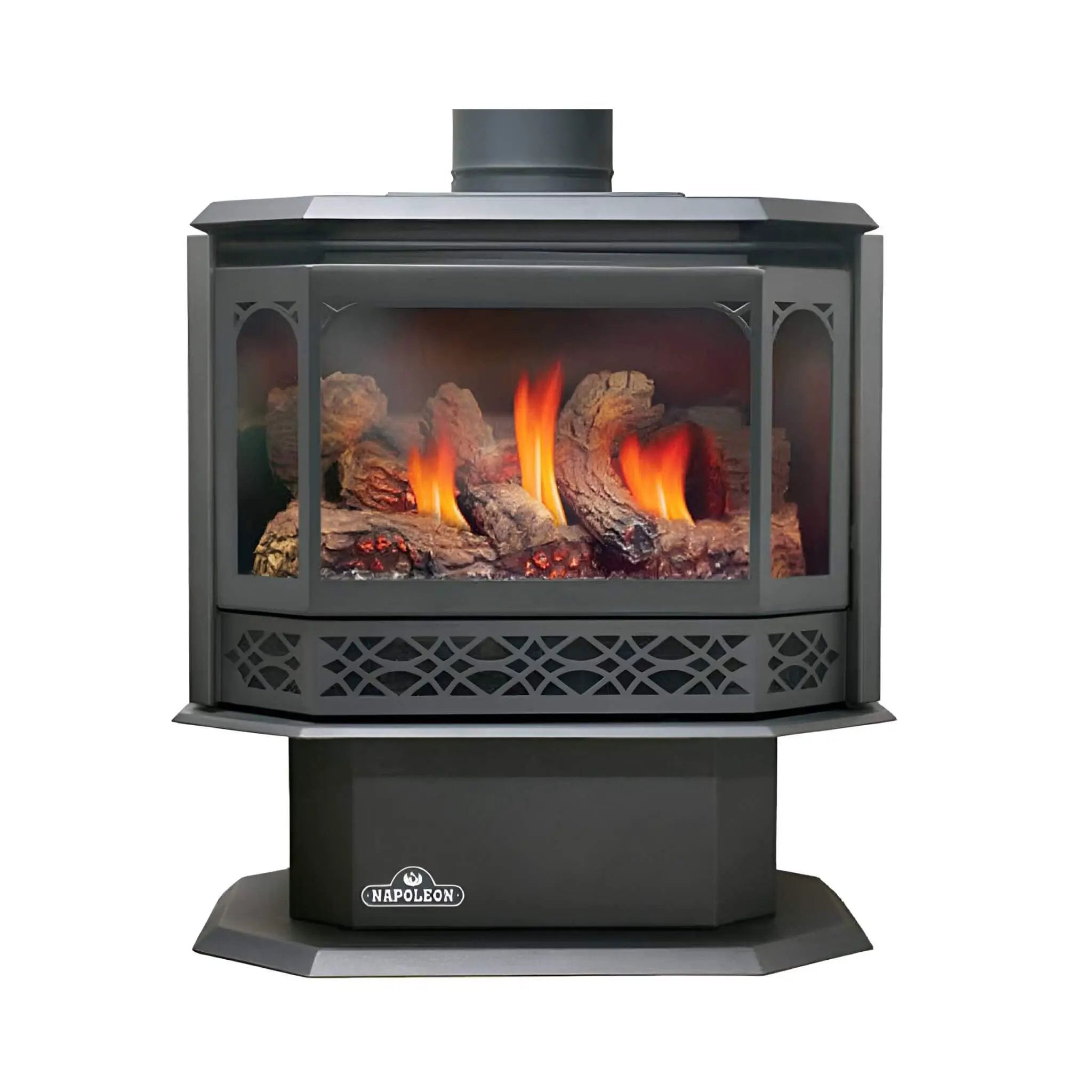 Napoleon Havelock 50 28-Inch Direct Vent Millivolt Ignition Natural Gas Stove [GDS50-1NSB] (SAK37589) by SAKSBY WHOLESALE