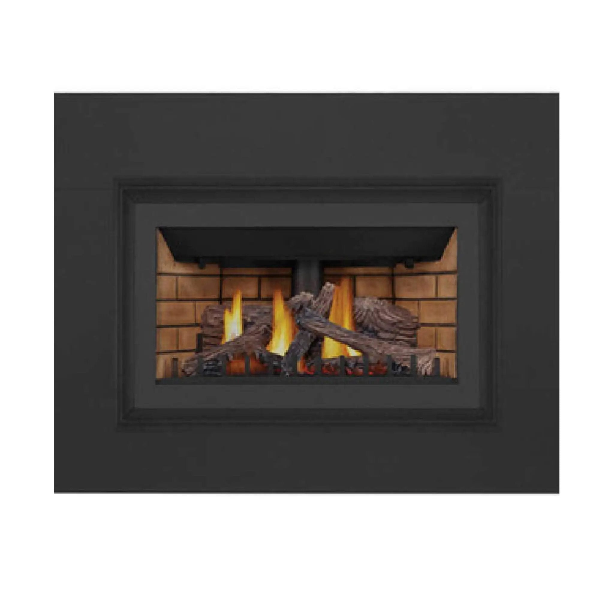 Napoleon Inspiration ZC 36-Inch Direct Vent Millivolt Ignition Natural Gas Fireplace Insert [GDIZC-NSB] (SAK58347) by SAKSBY WHOLESALE
