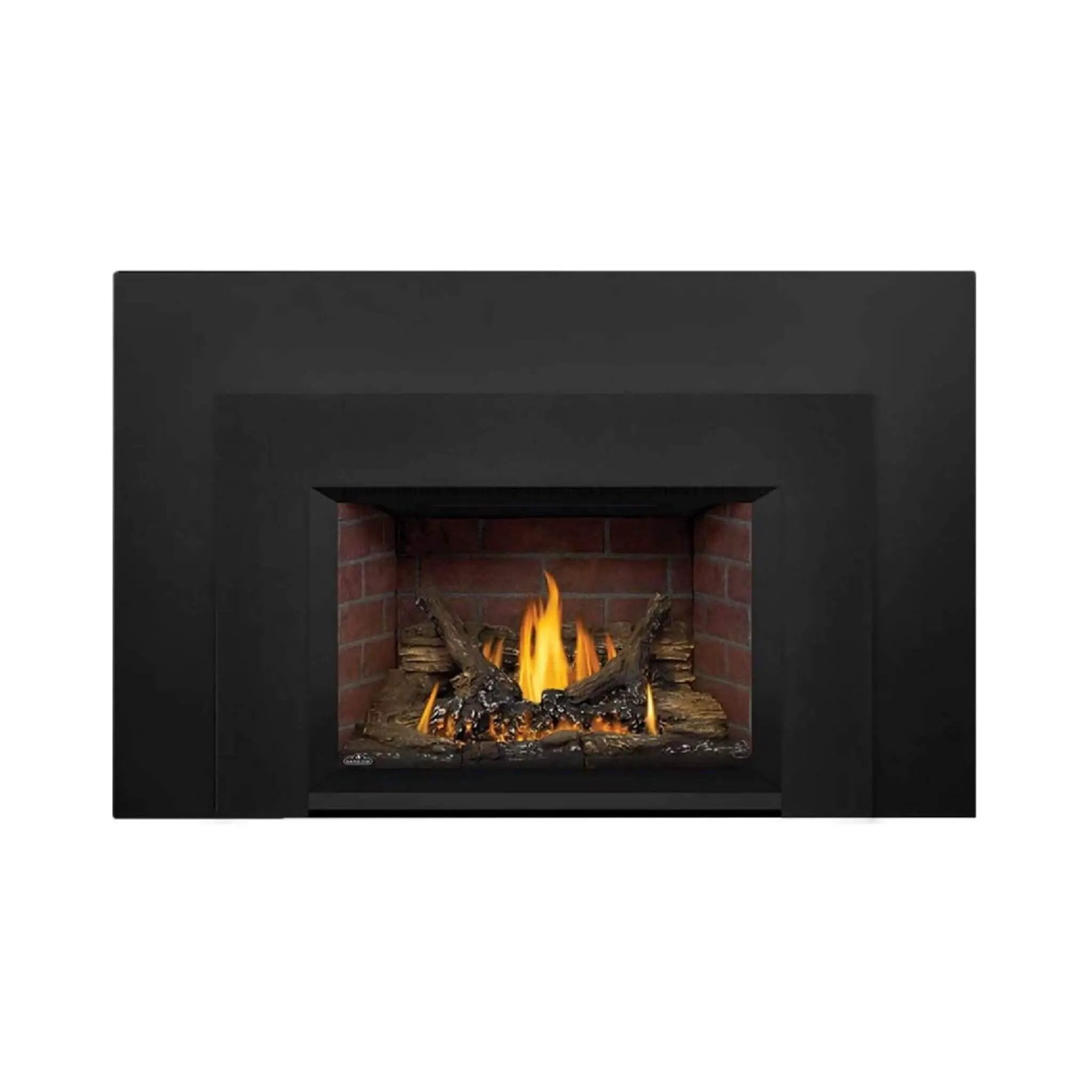 Napoleon Oakville 3 28-Inch Direct Vent Natural Gas Fireplace Insert [GDI3N-1] (SAK25498) by SAKSBY WHOLESALE