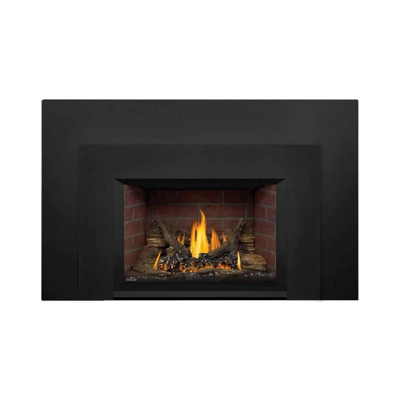 Napoleon Oakville 3 28-Inch Direct Vent Natural Gas Fireplace Insert [GDI3N-1] (SAK25498) by SAKSBY WHOLESALE