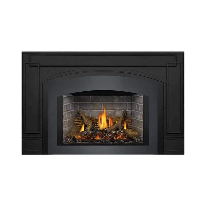 Napoleon Oakville X3/X4 Direct Vent Electronic Ignition Natural Gas Fireplace Insert [GDIX3N/4N-1] (SAK21347) by SAKSBY WHOLESALE