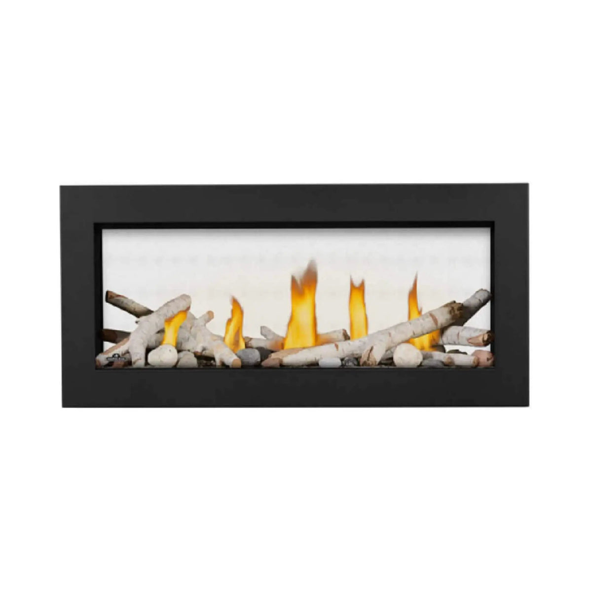Napoleon Vector 38-Inch See-Through Direct Vent Electronic Ignition Natural Gas Fireplace With eFIRE Bluetooth App [LV38N2-1] (SAK29471) by SAKSBY WHOLESALE