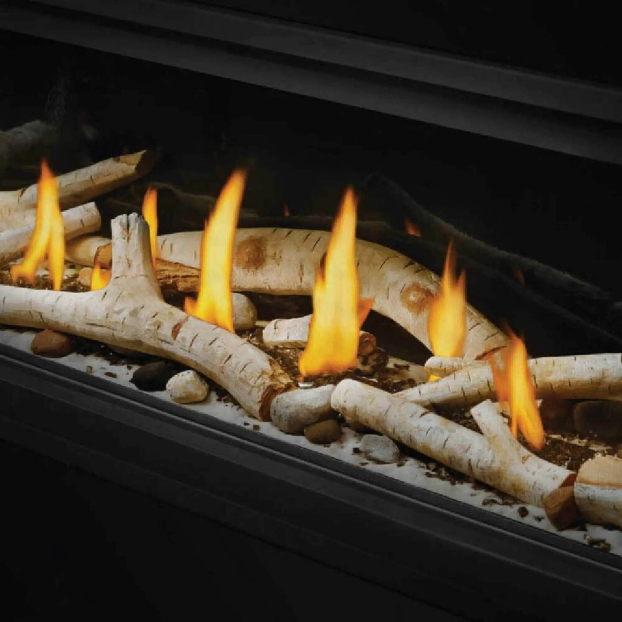 Napoleon Vector 50 Single-Sided 65-Inch Direct Vent Electronic Natural Gas Fireplace With Night Light System [LV50N-2] (SAK29481) by SAKSBY WHOLESALE
