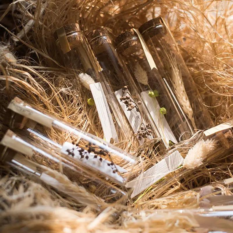 Natural Dried Flower in Glass Tube Randomly Picked Set of 5 by RusticReach