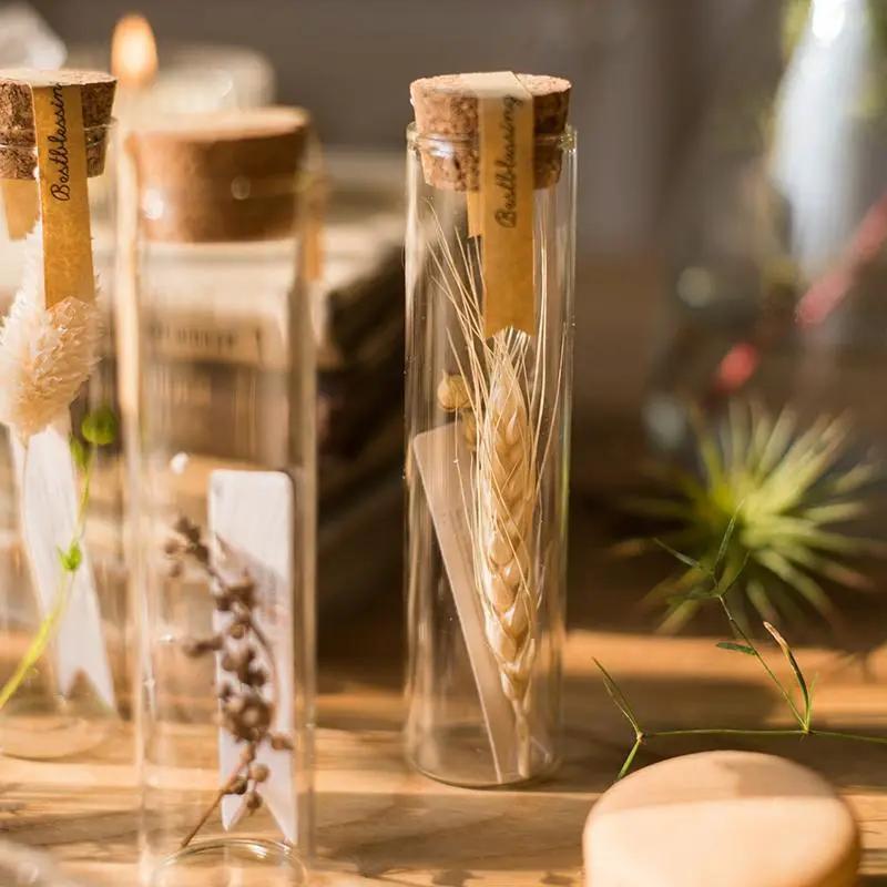 Natural Dried Flower in Glass Tube Randomly Picked Set of 5 by RusticReach