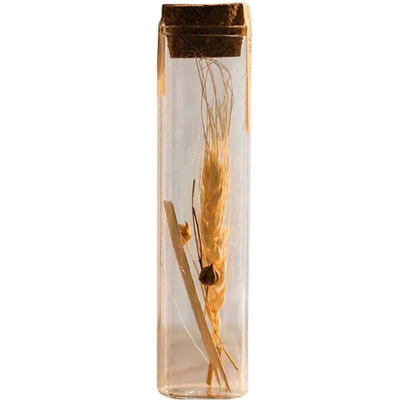 Natural Dried Flower in Glass Tube Randomly Picked Set of 5 by RusticReach
